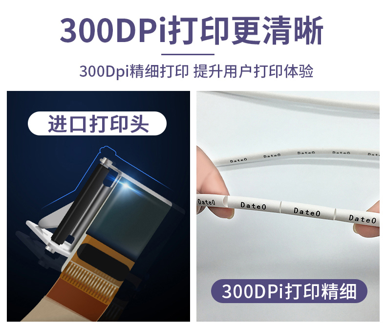  TP70硕方电子线号机